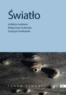 The cover of the book titled: Światło