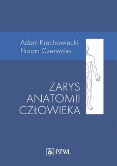 The cover of the book titled: Zarys anatomii człowieka