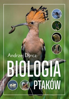 The cover of the book titled: Biologia ptaków