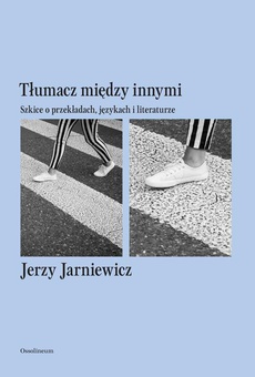 The cover of the book titled: Tłumacz między innymi. Szkice o przekładach, językach i literaturze