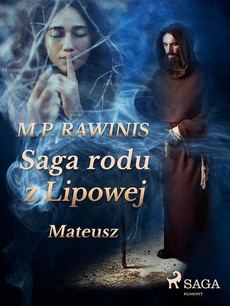 The cover of the book titled: Saga rodu z Lipowej 33: Mateusz
