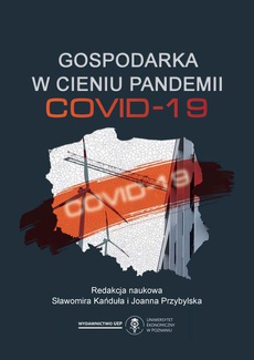 The cover of the book titled: Gospodarka w cieniu pandemii Covid-19