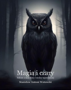 The cover of the book titled: Magia i czary. Szkice z dziedziny wiedzy tajemniczej