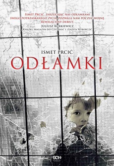 The cover of the book titled: Odłamki