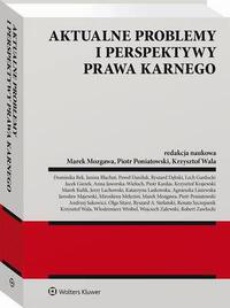 The cover of the book titled: Aktualne problemy i perspektywy prawa karnego