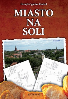 The cover of the book titled: Miasto na soli