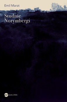 Okładka książki o tytule: Studnie Norymbergi