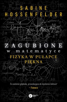 Обложка книги под заглавием:Zagubione w matematyce