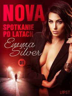 Okładka książki o tytule: Nova 1: Spotkanie po latach - Erotic noir