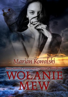 The cover of the book titled: Wołanie mew
