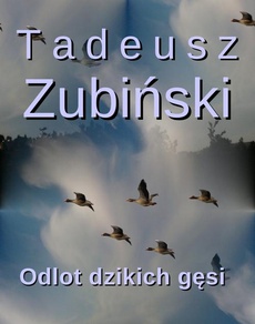 Обкладинка книги з назвою:Odlot dzikich gęsi