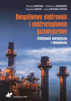 Okładka książki o tytule: Dwupaliwowe elektrownie i elektrociepłownie gazowo-parowe