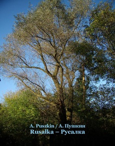 Обложка книги под заглавием:Rusałka. Русалка