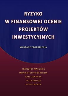The cover of the book titled: Ryzyko w finansowej ocenie projektów inwestycyjnych. Wybrane zagadnienia