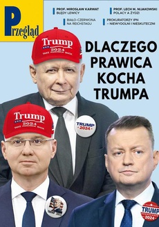 The cover of the book titled: Przegląd. 19