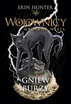 Okładka książki o tytule: Gniew burzy
