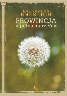 The cover of the book titled: Prowincja pełna marzeń