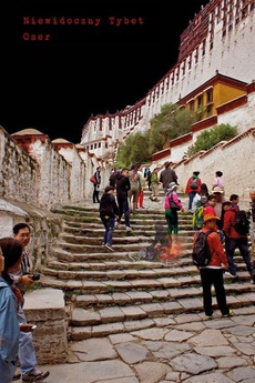 Okładka książki o tytule: Niewidoczny Tybet