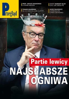 The cover of the book titled: Przegląd. 17