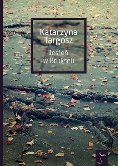 The cover of the book titled: Jesień w Brukseli