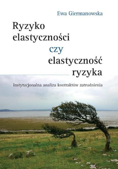 The cover of the book titled: Ryzyko elastyczności czy elastyczność ryzyka