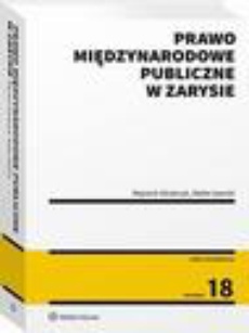 The cover of the book titled: Prawo międzynarodowe publiczne w zarysie