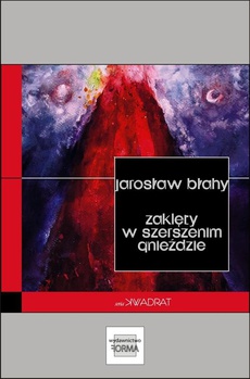 The cover of the book titled: Zaklęty w szerszenim gnieździe