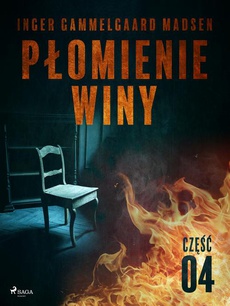 The cover of the book titled: Płomienie winy: część 4