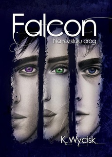 Обкладинка книги з назвою:Falcon Na rozstaju dróg Tom 2