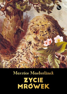 The cover of the book titled: Życie mrówek