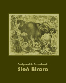 Okładka książki o tytule: Słoń Birara