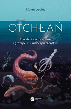 The cover of the book titled: Otchłań