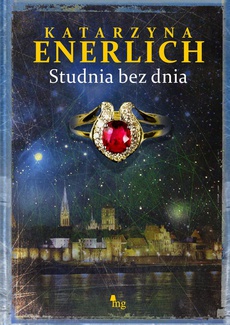 Обкладинка книги з назвою:Studnia bez dnia