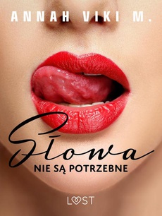 The cover of the book titled: Słowa nie są potrzebne – opowiadanie erotyczne