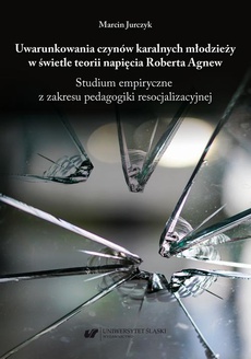 The cover of the book titled: Uwarunkowania czynów karalnych młodzieży w świetle teorii napięcia Roberta Agnew. Studium empiryczne z zakresu pedagogiki resocjalizacyjnej