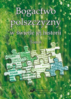 The cover of the book titled: Bogactwo polszczyzny w świetle jej historii. T. 6