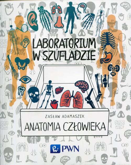 Okładka książki o tytule: Laboratorium w szufladzie. Anatomia człowieka