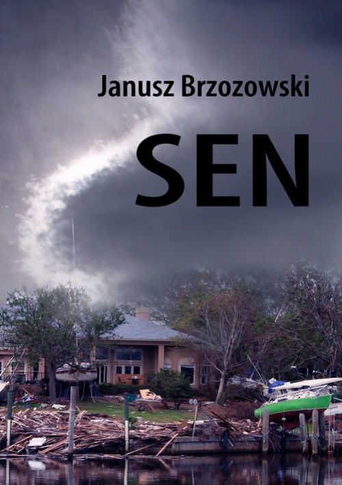 The cover of the book titled: Sen