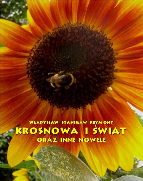 The cover of the book titled: Krosnowa i świat oraz inne nowele