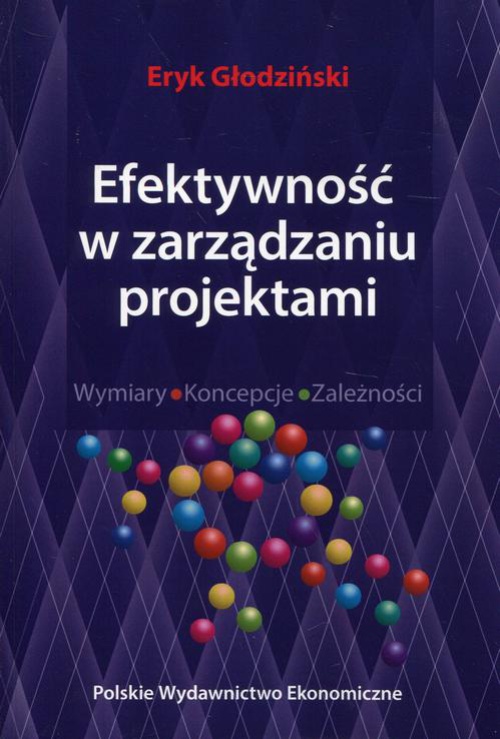 The cover of the book titled: Efektywność w zarządzaniu projektami