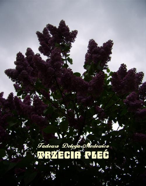 The cover of the book titled: Trzecia płeć