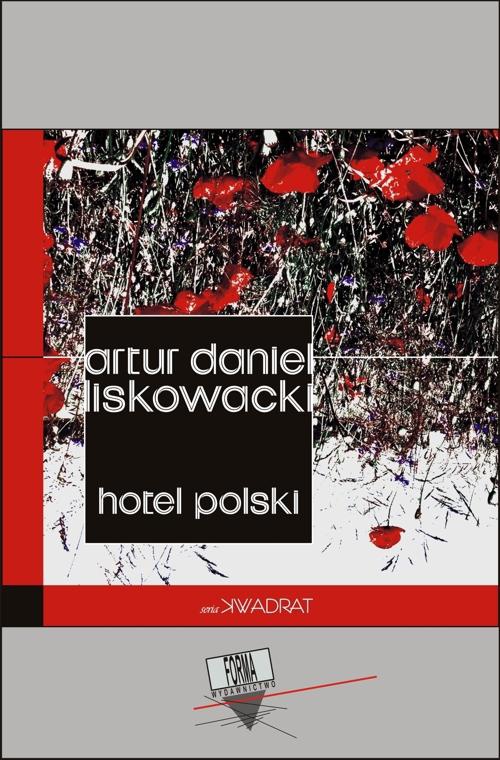 The cover of the book titled: Hotel Polski