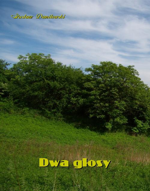 The cover of the book titled: Dwa głosy