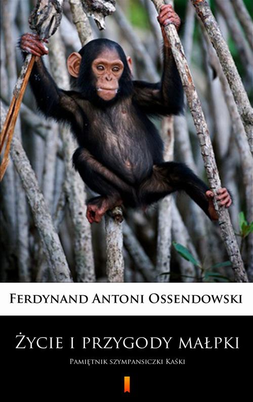 Okładka:Życie i przygody małpki 