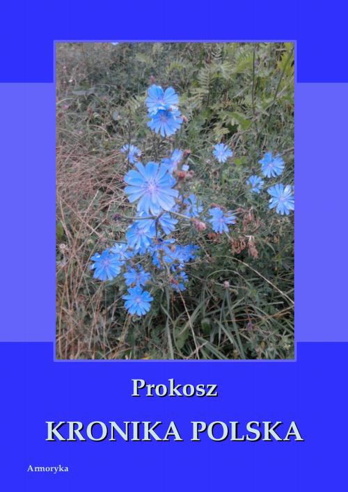 Обложка книги под заглавием:Kronika polska Prokosza
