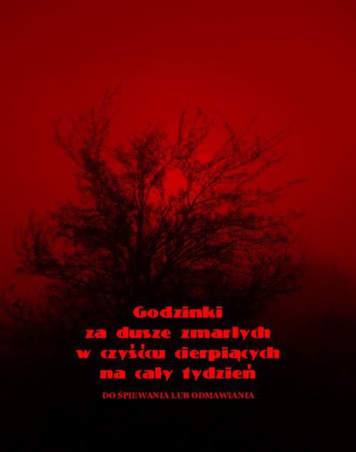 The cover of the book titled: Godzinki za dusze zmarłych w czyśćcu cierpiących na cały tydzień