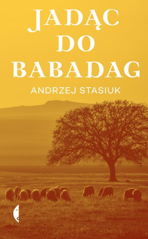 The cover of the book titled: Jadąc do Babadag