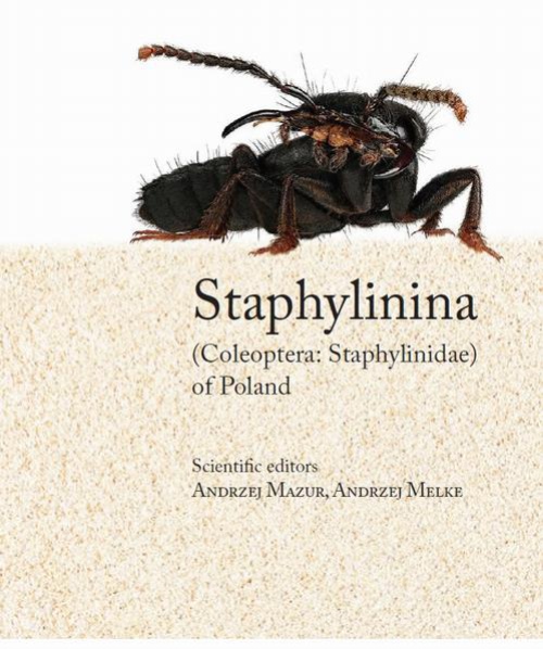 Okładka książki o tytule: Staphylinina (Coleoptera: Staphylinidae) of Poland