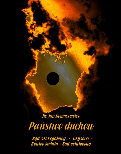Обложка книги под заглавием:Państwo duchów
