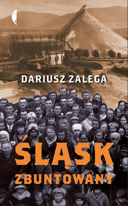 Обложка книги под заглавием:Śląsk zbuntowany
